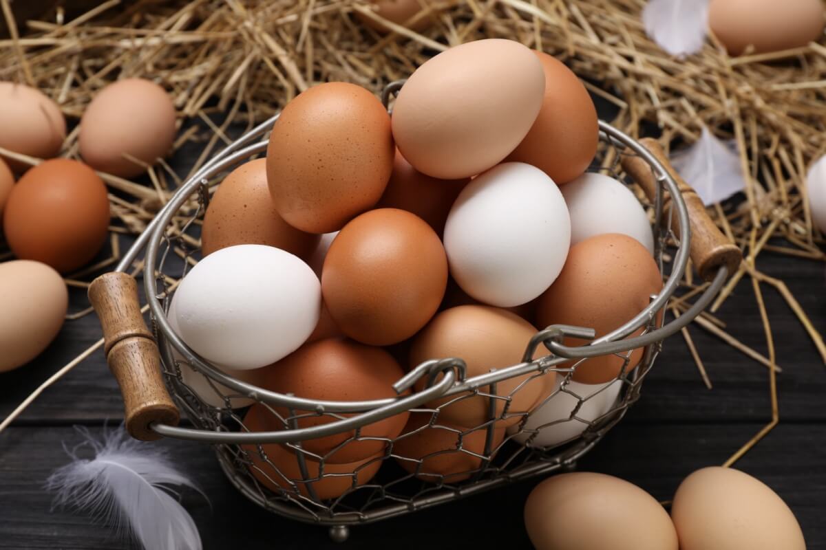 edicaseos-ovos-se-destacam-pela-combinacao-de-praticidade-e-valor-nutricional-imagem-new-africa--shutterstock-ydurp7pox
