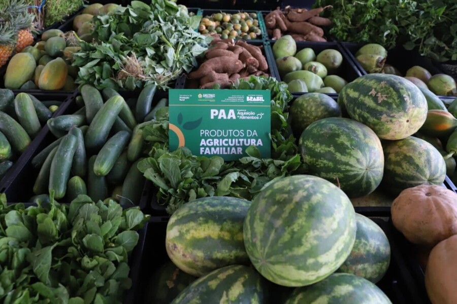 Edital do PAA abre inscrições para agricultores familiares indígenas e comunidades tradicionais no Amazonas