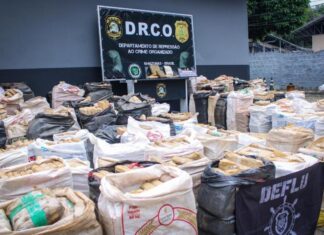 Polícia apreende mais de 4,5 toneladas de skunk em balsa no interior do Amazonas