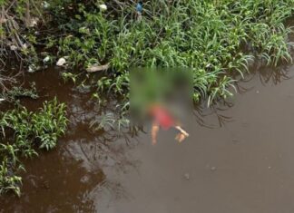Homem é encontrado morto boiando em igarapé no bairro São Jorge, em Manaus