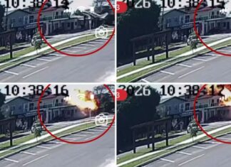 Avião de pequeno porte cai sobre restaurante e deixa quatro mortos; veja o vídeo