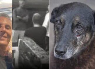 Acusado de coagir porteiro no caso do cão Orelha morre em Florianópolis
