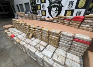 Mais de 300 kg de maconha avaliados em R$ 6,5 milhões são apreendidos no bairro Flores, em Manaus