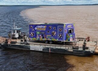 Amazonas quer criar Castramóvel Fluvial para levar atendimento veterinário ao interior