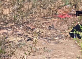 Homem é assassinado a tiros em área isolada da BR-174 no Amazonas