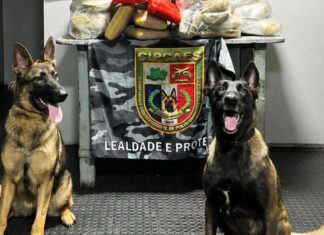Operação apreende mais de noventa quilos de drogas no Rio Solimões e prende dois suspeitos no AM