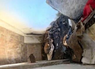 Restos mortais são encontrados em prédio histórico abandonado no Centro de Manaus