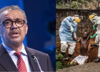 Diretor-geral da OMS cita preocupação com surto de ebola na África