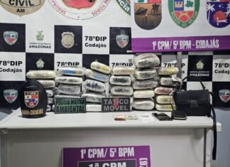 Cerca de 30 quilos de drogas são apreendidos em Codajás e causam prejuízo de R$ 600 mil ao crime organizado