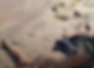 Homem é morto a pauladas após reagir a assalto em rio no município de Coari