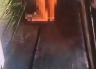 Homem é preso em Novo Aripuanã após agredir ex e divulgar vídeo íntimo de gestante