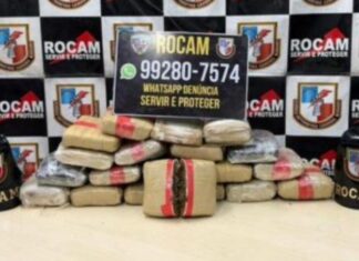 Rocam apreende 20 quilos de drogas após denúncia no bairro Alvorada, em Manaus