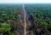 Amazonas registra queda de 57% no desmatamento entre janeiro e maio de 2026, segundo Ipaam