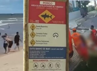 VÍDEO: Menino de 11 anos tem perna amputada após ataque de tubarão