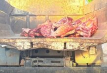 Operação apreende quase três toneladas de carne estragada no Amazonas