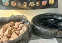 Cão farejador encontra 14 kg de droga escondida em pneus de moto durante fiscalização no AM