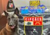 Tripulante é preso com 3,2 kg de drogas escondidas em embalagens de ‘Cheetos’ no AM