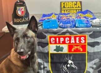 Tripulante é preso com 3,2 kg de drogas escondidas em embalagens de ‘Cheetos’ no AM