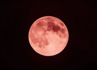 Lua de Morango poderá ser vista em Manaus nesta segunda; saiba como observar o fenômeno