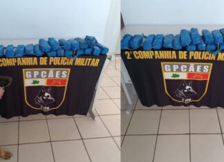 Forças de Segurança apreendem mais de 11 kg de cocaína escondidos em barco no Amazonas