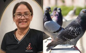 Professora morre após contrair doença associada a fezes de pombos em escola de Manaus