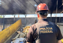 Polícia Federal destrói mais de 3,5 toneladas de drogas apreendidas em Manaus