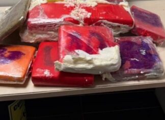 Polícia Federal prende homem com mais de doze quilos de maconha no Aeroporto de Manaus