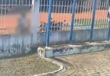 Homem é preso após tentar intimidar ex-mulher dentro de delegacia em Humaitá