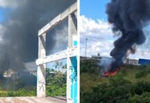 Incêndio atinge área de vegetação e provoca fumaça intensa na zona norte de Manaus