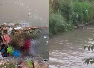 Mulher é encontrada morta em igarapé na Alameda Alphaville Leste, em Manaus
