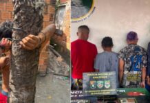 Quarteto é preso após PM encontrar homem amarrado e ferido em coqueiro no quintal de casa em Maués