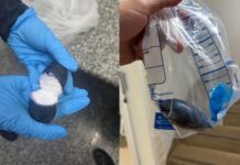 Mulher é presa ao tentar entrar em presídio com cocaína escondida no ânus