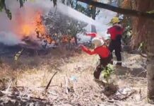 Incêndio atinge área de vegetação próxima à Reserva Adolpho Ducke em Manaus