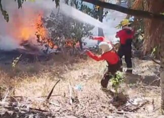 Incêndio atinge área de vegetação próxima à Reserva Adolpho Ducke em Manaus