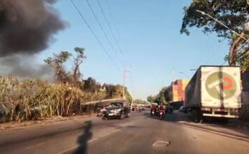 Princípio de incêndio atinge vegetação no Parque Mauá em Manaus