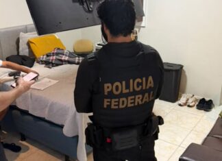 PF deflagra operação contra grupo suspeito de trabalho escravo e desmatamento de R$ 179 milhões no AM
