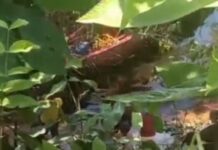 Corpo de jovem é encontrado após desaparecimento no Rio Negro em Manaus