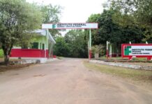 Onça invade área do Ifam, mata onze ovinos e provoca suspensão de atividades no campus
