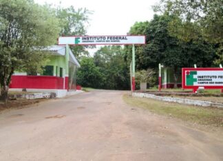 Onça invade área do Ifam, mata onze ovinos e provoca suspensão de atividades no campus