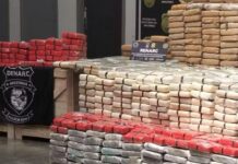 Denarc apreende 700 kg de skunk avaliados em R$ 14 milhões e prende suspeito em Manaus