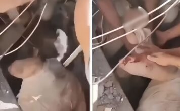VÍDEO: Bebê é resgatado com vida dos escombros após terremoto na Colômbia