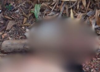 Homem é achado desacordado após supostamente s0frer g0lp3 na cabeça em avenida de Maués Homem é achado desacordado após supostamente s0frer g0lp3 na cabeça em avenida de Maués