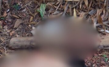 Homem é achado desacordado após supostamente s0frer g0lp3 na cabeça em avenida de Maués