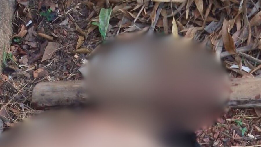 Homem é achado desacordado após supostamente s0frer g0lp3 na cabeça em avenida de Maués