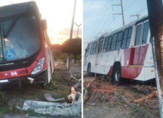 Ônibus lotado da linha 350 perde controle, sobe em canteiro e colide com árvore em Manaus
