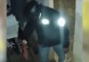 Motoboy “jack” é investigado por furtar sete calcinhas e levar uma na mochila