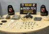 Rocam apreende maconha, cocaína, crack, pistola e munições no Alvorada