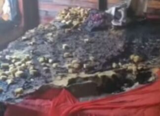 Homem é preso após incendiar colchão onde filha de 3 anos dormia em Manacapuru