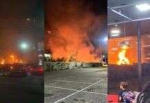 Incêndio de grandes proporções atinge área de mata na Avenida das Torres, em Manaus