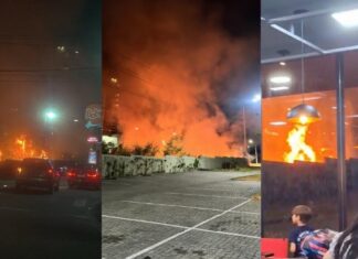 Incêndio de grandes proporções atinge área de mata na Avenida das Torres, em Manaus